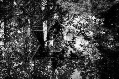 Uzun orman ağaçlarının gri tonlu görüntüsü soyut arkaplan    