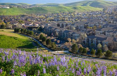 Güneşli bir günde kırsal bir mimarinin manzarası.