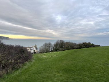 Bulutlu gökyüzünün altındaki yeşil bir tarlada modern bir evin güzel manzarası.