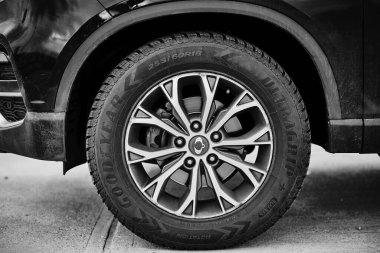 Balck SsangYong Rexton arabasının gri tonlu yakın plan çekimi.