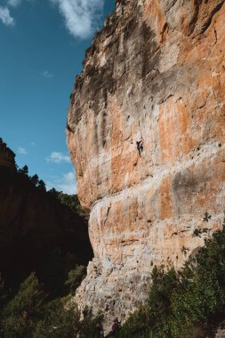 Ağaçlarla çevrili kayalıkların dikey görüntüsü.