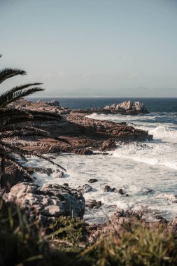 Deniz kıyısındaki tropik ağaçların ve kayalıkların dikey görüntüsü.