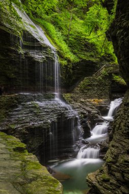 Gökkuşağı Şelalesi 'nin dikey görüntüsü yeşil Watkins Glen Eyalet Parkı, New York