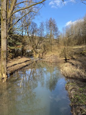 Sonbaharda çıplak ağaçlarla çevrili bir nehir veya göletin dikey görüntüsü.