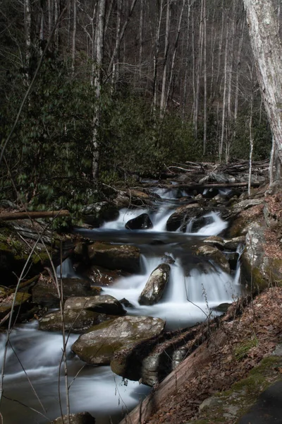 Plano Vertical Smith Creek Visto Desde Sendero Anna Ruby Falls — Foto de Stock