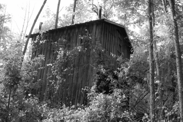 Ένα Ασπρόμαυρο Πλάνο Ενός Μικρού Ξύλινου Αγροτικού Χωριού Ένα Δάσος — Φωτογραφία Αρχείου
