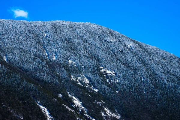 Uma Vista Panorâmica Floresta Nacional Montanha Branca New Hampshire — Fotografia de Stock