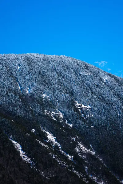 Uma Vista Panorâmica Floresta Nacional Montanha Branca New Hampshire — Fotografia de Stock