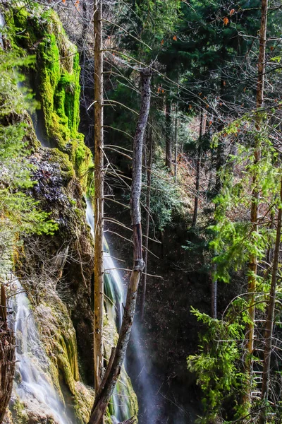 Uma Bela Paisagem Uma Cachoeira Uma Floresta — Fotografia de Stock