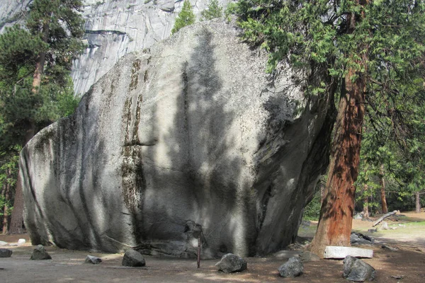 Close Uma Grande Pedra Floresta Parque Nacional Yosemite Eua — Fotografia de Stock