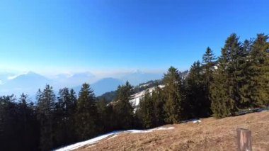 İsviçre 'nin Rigi Kulm kentindeki orman ağaçları ve dağların havadan görünüşü