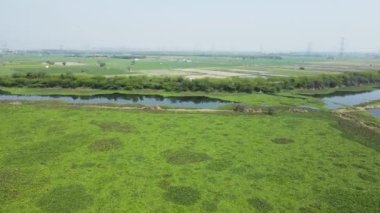 Güneşli bir günde gölü olan yeşil manzaralı güzel bir manzara.