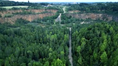 Ormandaki yeşil ağaçlı yaz manzarasının insansız hava aracı görüntüleri..