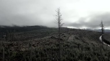 Gündüz vakti ormansız bir arazinin manzarası.