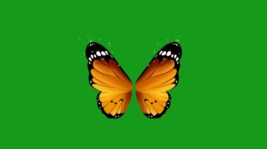 Yeşil arka planda bir kelebeğin canlandırması.