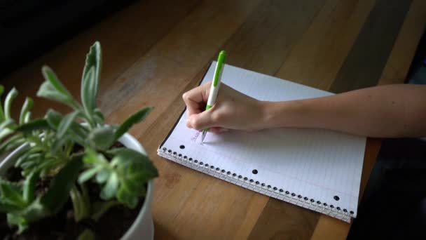 一张特写照片 是一个人与盆栽一起在木桌上的笔记本上写字 — 图库视频影像