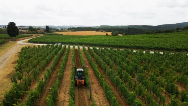 Drone Terbang Atas Traktor Memotong Tanaman Anggur — Stok Video