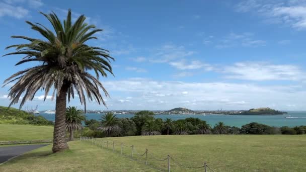 Blick Auf Auckland Neuseeland Mit Bucht Und Palme — Stockvideo