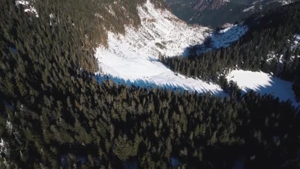 Una Vista Pájaro Montañas Nevadas Cubiertas Bosques Pinos Verdes Día — Vídeos de Stock