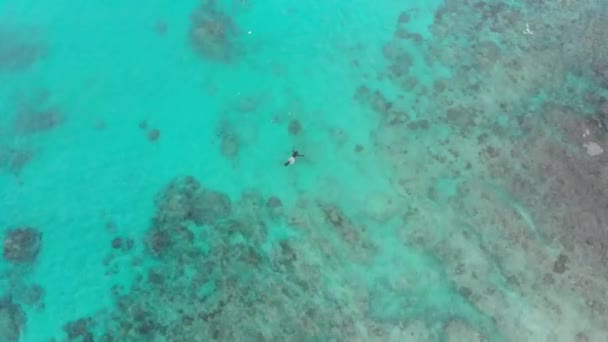 Circle Drone Tiro Mergulho Livre Água Azul Turquesa Bali — Vídeo de Stock