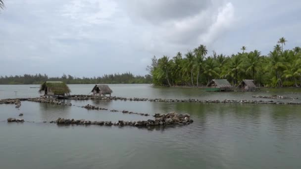 Pfahlhaeuser Und Steinerne Fischfalle Auf Huahine — Vídeo de Stock