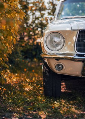 Üstü açık klasik bir Ford Mustang 'in sol ön farının dikey görüntüsü.