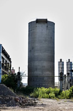 Terk edilmiş bir depoda büyüyen bitkiler.