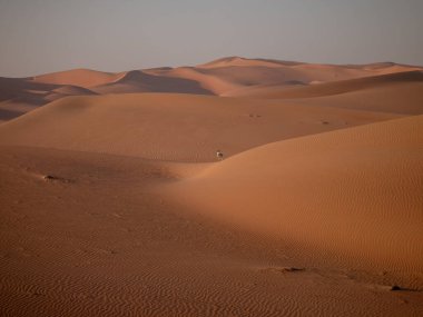 Rub 'al Khali' deki antilop nam-ı diğer Boş Bölge veya Liwa Deser.