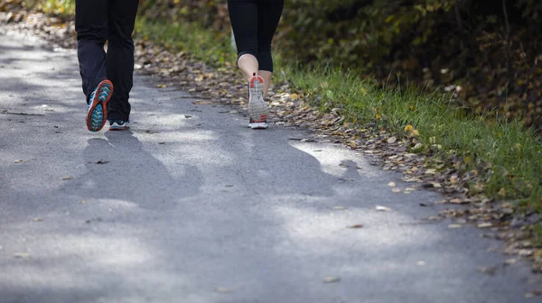 Wander Oder Laufschuhe Wald Abenteuer Und Bewegung Der Sommerlichen Natur — Stockfoto