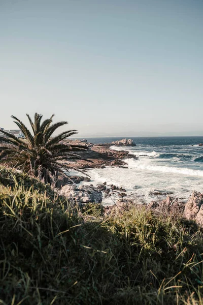 Een Verticaal Schot Van Tropische Bomen Kliffen Zeekust — Stockfoto