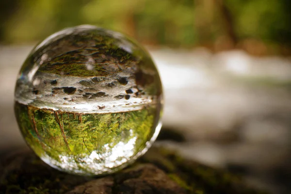 Plan Rapproché Une Boule Cristal Avec Reflet Renversé Forêt Fin — Photo
