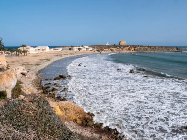 Vista Aérea Das Ondas Costa Ilha Tabarca Alicante Espanha — Fotografia de Stock