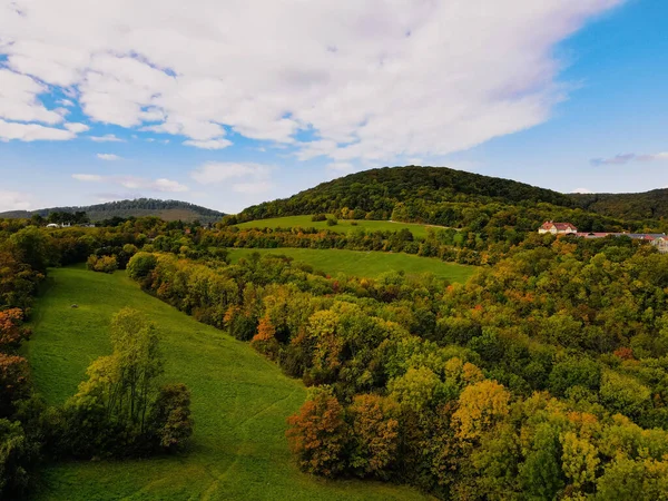 Una Scenografica Foresta Autunnale Con Campi Erbosi Contro Bel Cielo — Foto Stock