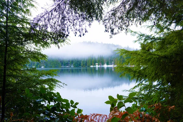 透过绿树成荫 背景多雾的高山 美丽而充满活力的湖景 — 图库照片