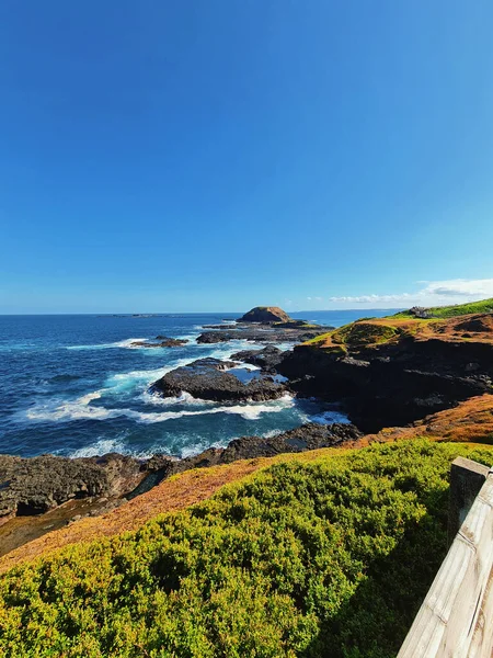 Vertical Shot Beautiful Sea Sunny Summer Day — Stock Photo, Image