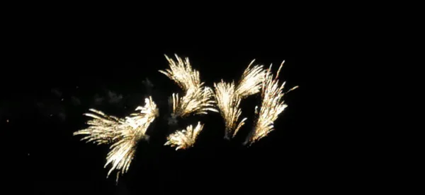 Fuegos Artificiales Brillantes Cielo Oscuro Para Celebración — Foto de Stock