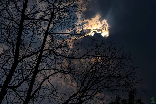 Una Vista Angolo Basso Del Cielo Autunnale Notturno — Foto Stock