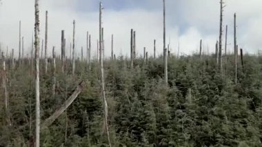 Gündüz vakti ormansız bir arazinin manzarası.