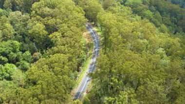 NSW, Avustralya 'daki Cebelitarık Ulusal Parkı' ndan geçen bir yolun hava görüntüsü.