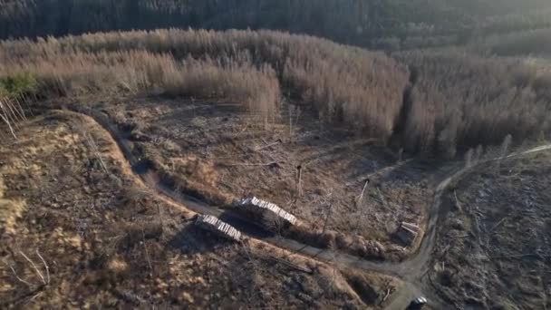 ハーツ山脈で破壊された森林の空中撮影は ヴェルニゲロデ近くの気候変動の影響 — ストック動画