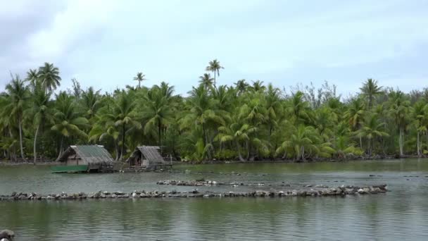 Pfahlhäuser Und Steinerne Fischfalle Auf Huahine — Stockvideo