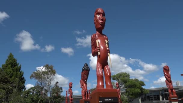 Gruppe Von Traditionellen Maori Tekoteko Figuren Στο Whakarewarewa Rotorua Neuseeland — Αρχείο Βίντεο