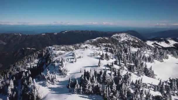 Una Vista Del Dron Sobre Las Montañas Invierno — Vídeos de Stock