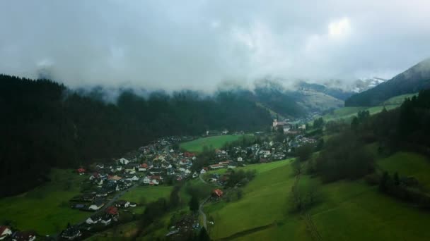 Schwarzwald Muenstertal Lille Grøn Dal Med Snedækkede Bjerge Træer Med – Stock-video