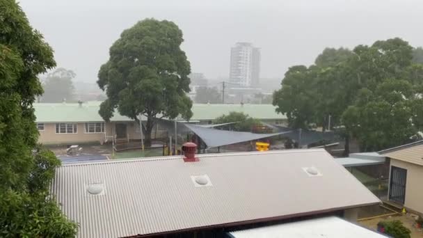 Lambat Dari Curah Hujan Tengah Charlestown Newcastle — Stok Video