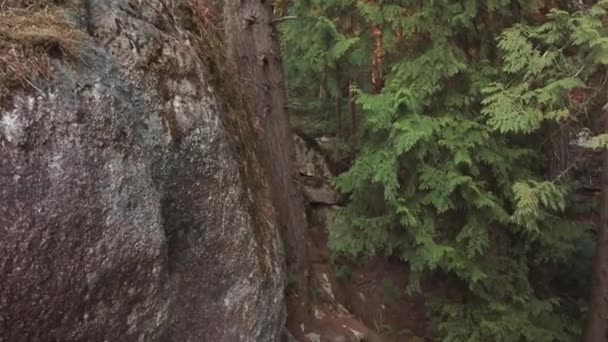 Vancouver Kanada Daki Deep Cove Çam Ağaçlarıyla Çevrili Kayaların Manzarası — Stok video