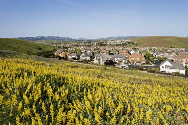 Uzakta bir tarlası ve kasabası olan manzaralı bir kırsal bölge.