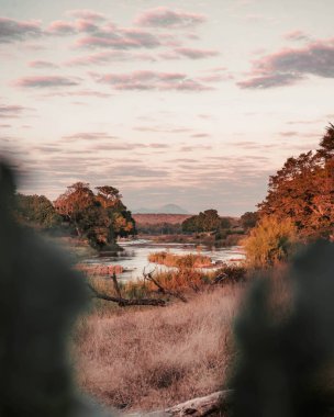 Gün batımında yoğun bitki örtüsüyle çevrili güzel bir nehir manzarası.