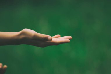 Yeşil arka planda güzel bir el çekimi.