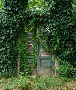 Yeşil ağaçlar ve yapraklarla kaplı eski ve güzel bir ahşap kapı.